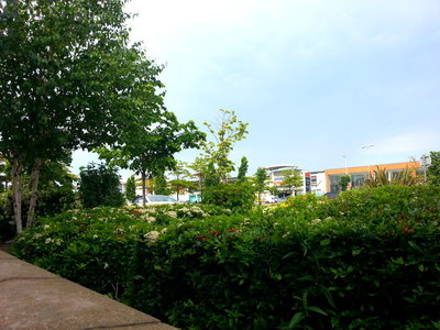 20150605_091738_Leamington Rd-picsay.jpg